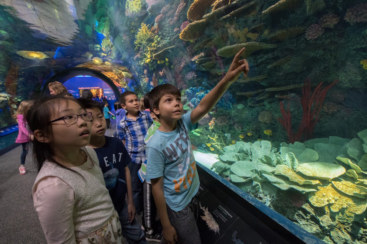30+ Quirky Things to Do in New York in 2025