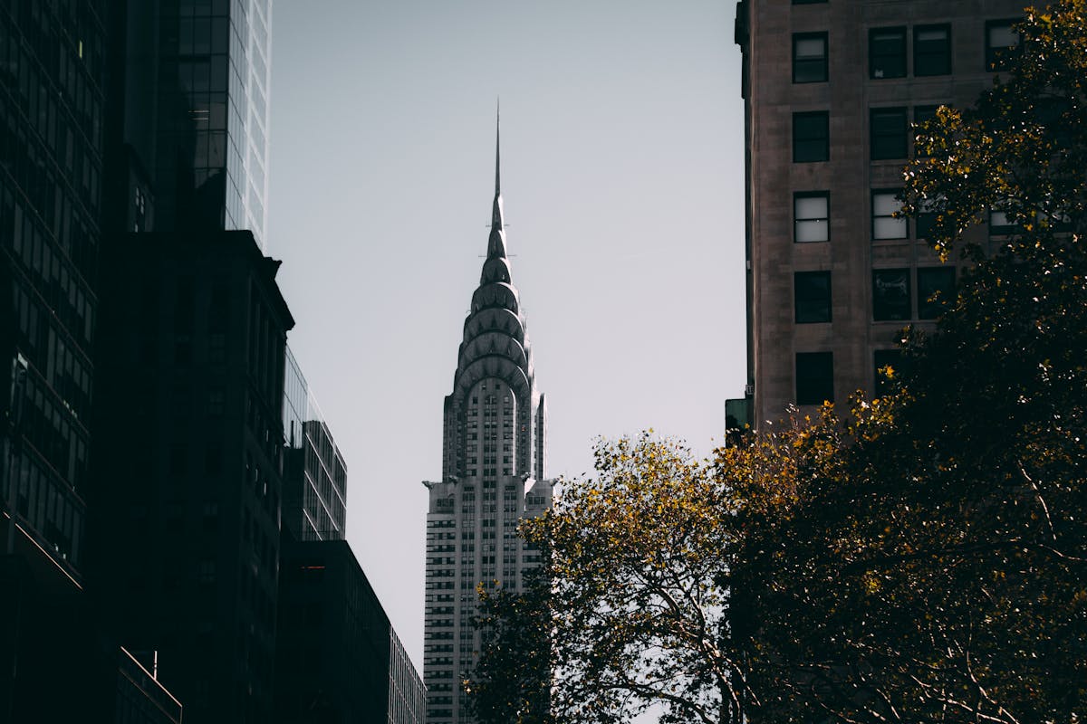Places to eat in new york - A Culinary Journey Through the Five Boroughs 2025 A World in Every Borough