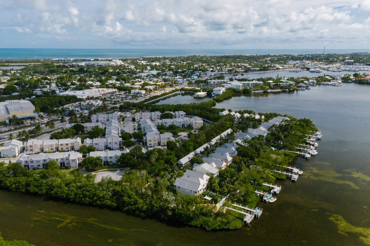 Discover Top Culinary Arts Schools in Florida 2025 Airboat gliding through a dark Florida swamp at night with a searchlight