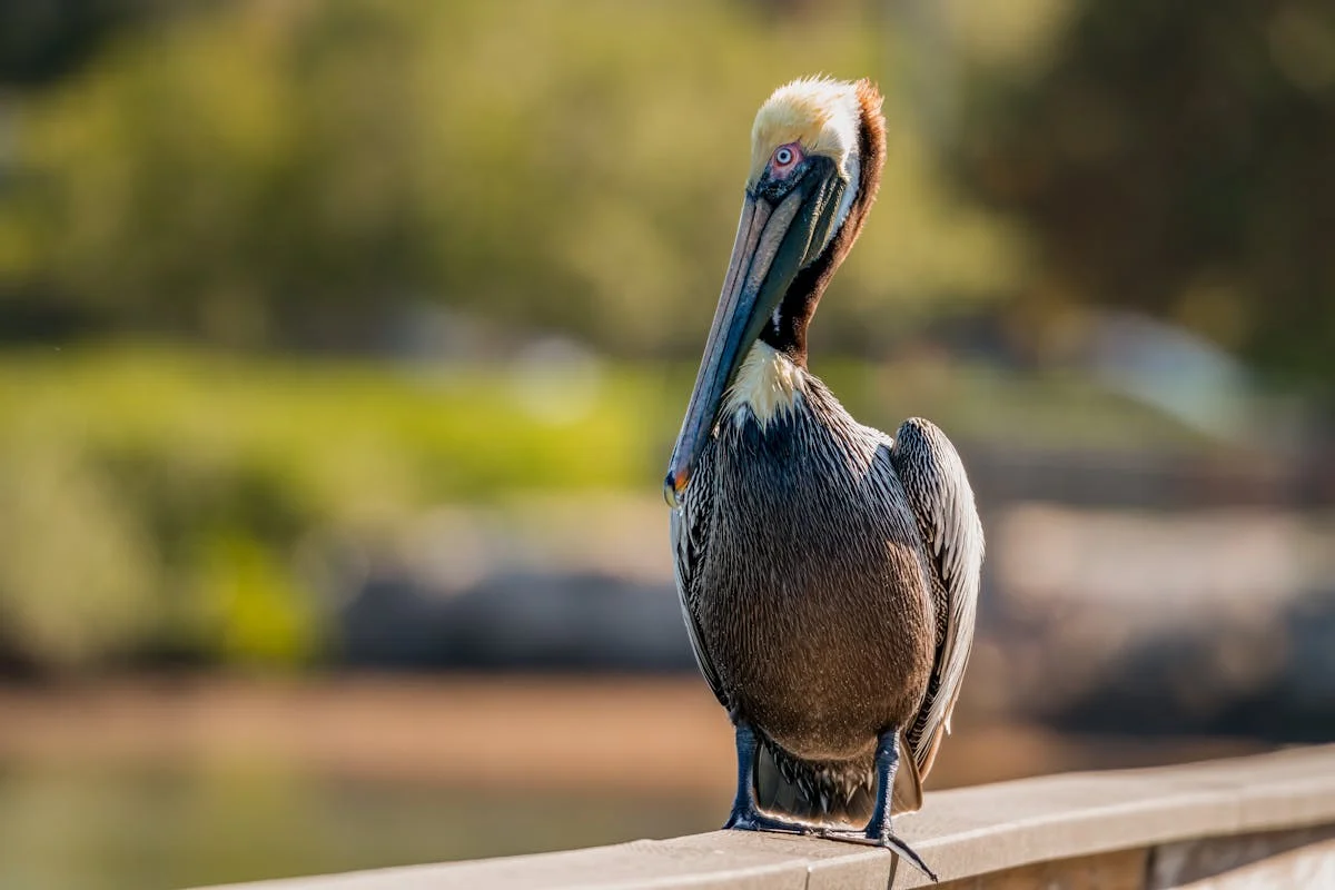 What Season Should You Visit Florida? Your Perfect Trip Guide Best Times to Visit Florida for Good Weather