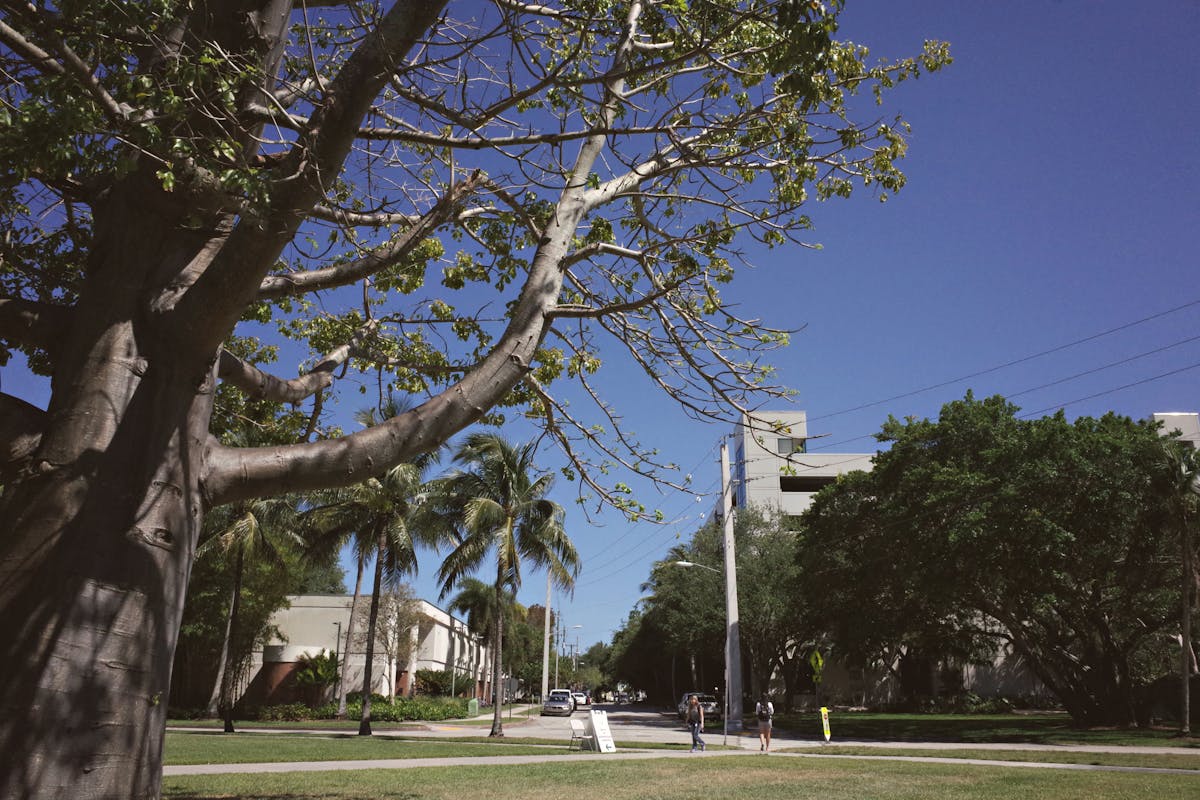 Best Times to Visit Florida for Smaller Crowds