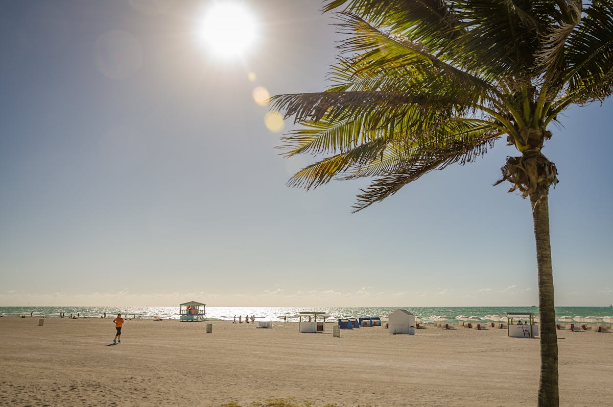 Unforgettable Clear Kayaking Sarasota Adventures Await Boshamps Seafood and Oyster House - Southern Coastal Comfort 2025