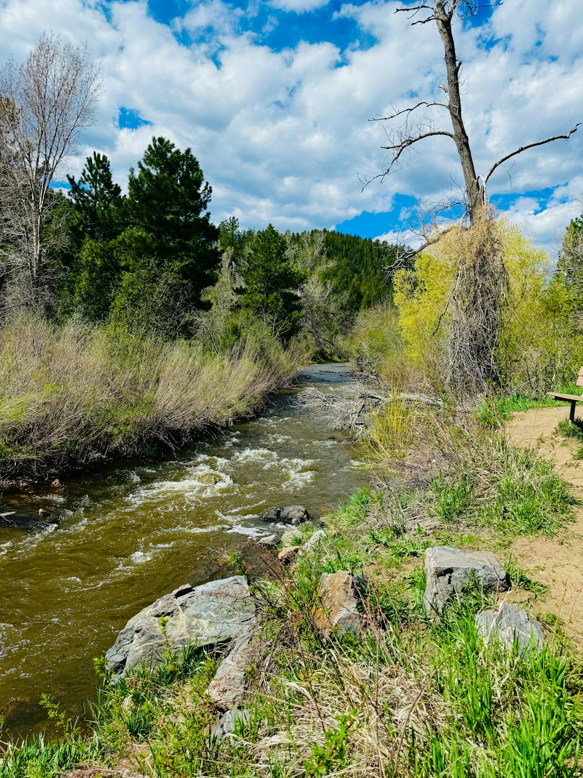 Discover the Best - Where to Go Downtown Denver Discover Denver's famous craft beer scene.