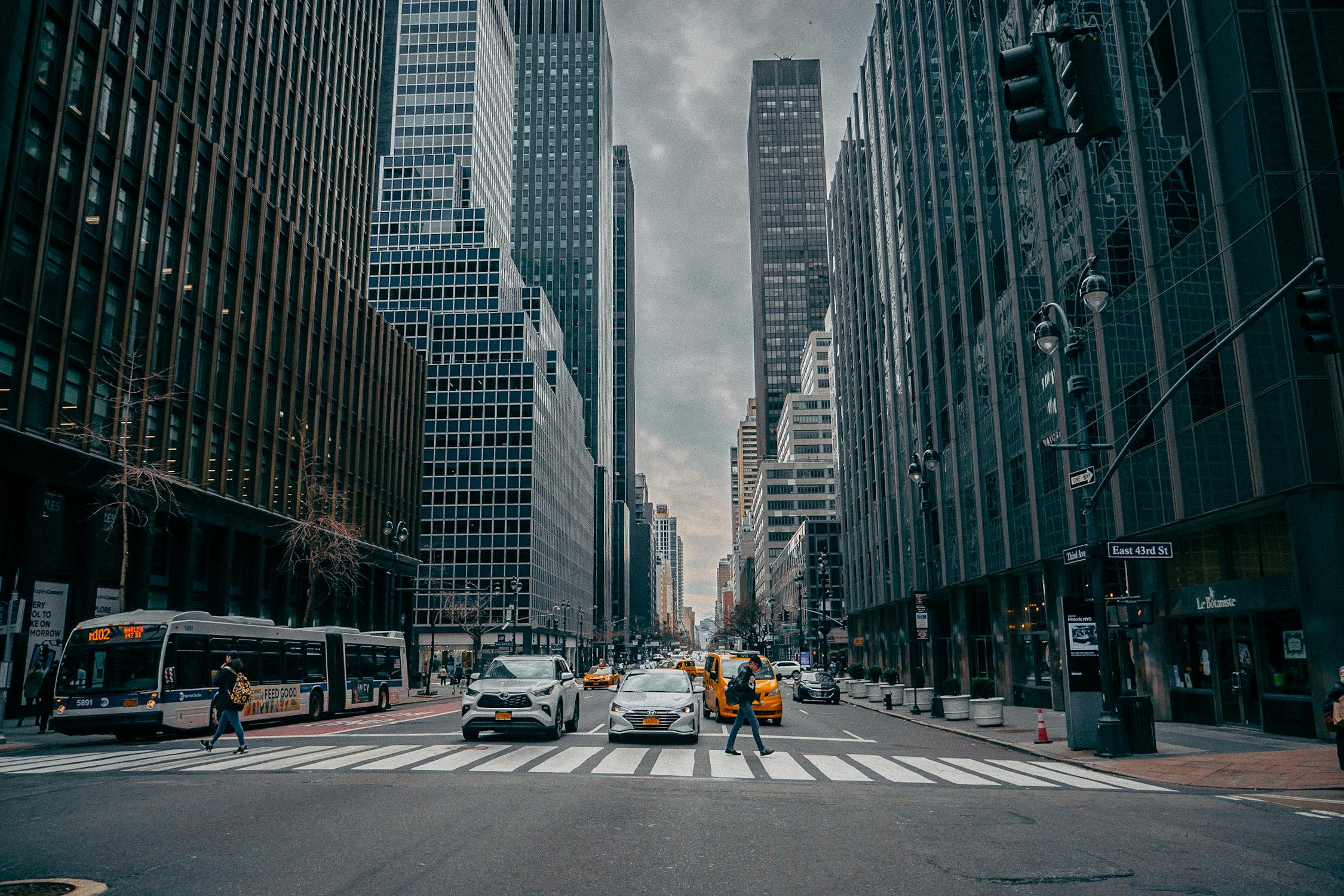 Discover Festivals in NYC This Weekend - Your Guide to Vibrant City Life