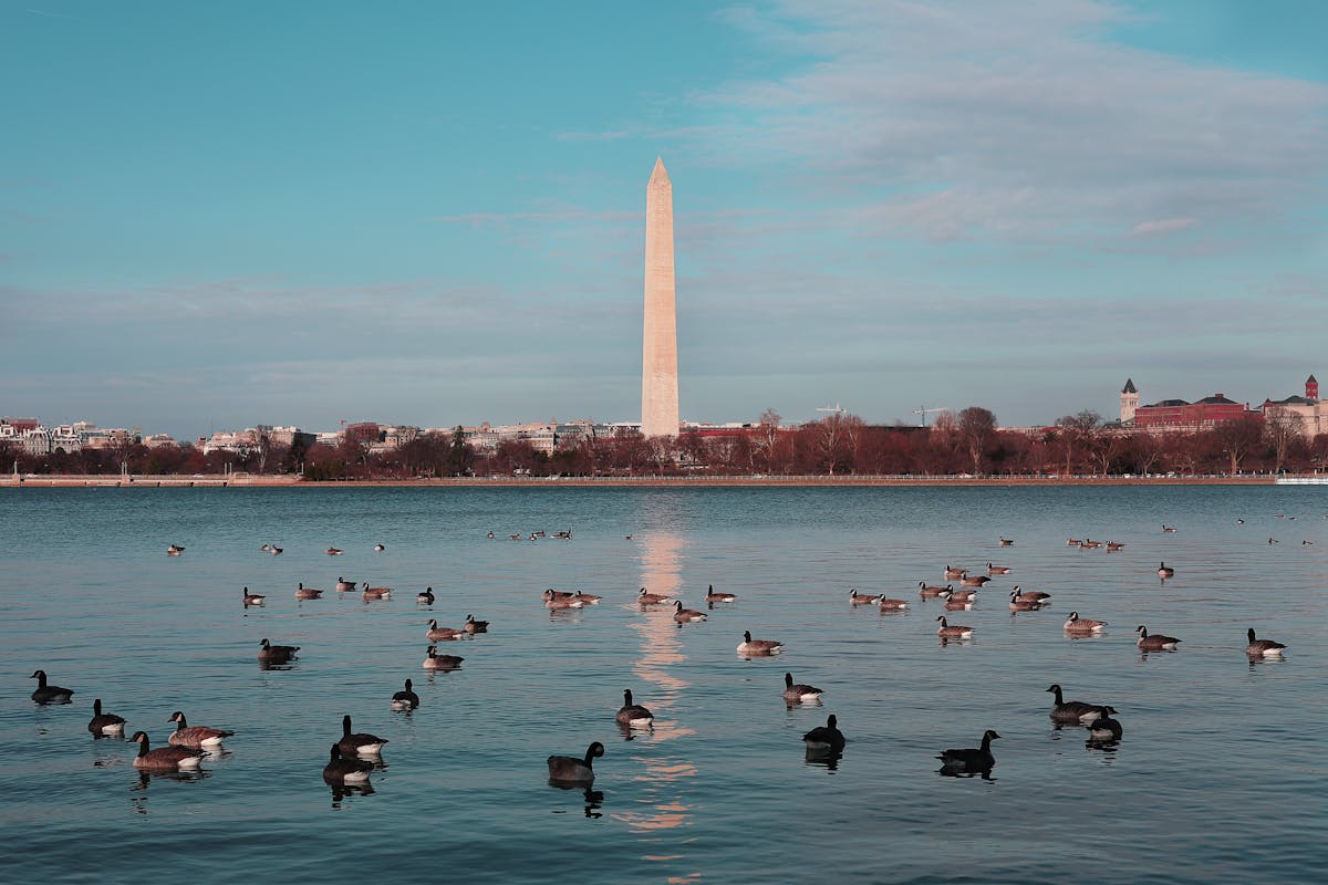 Discover Washington Hop On Hop Off Tours - Your Ultimate DC Journey