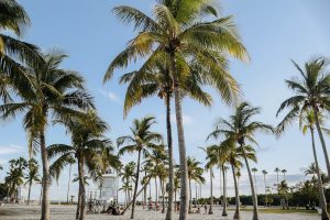 Discover the Best Things to See in Key West