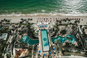 Discover the Best Things to See in Sarasota