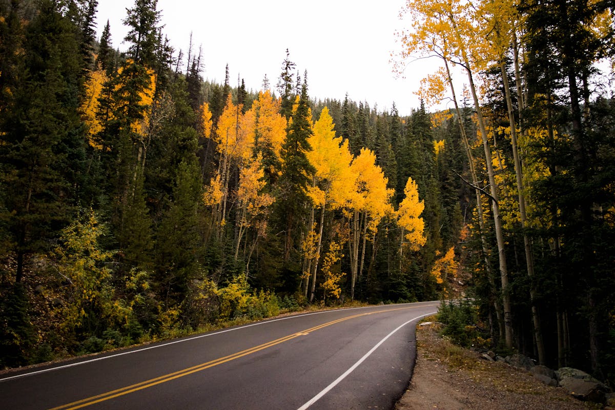 Discover the Best What to Do in Colorado Springs - An Essential Guide Discover the Best What to Do in Colorado Springs - An Essential Guide