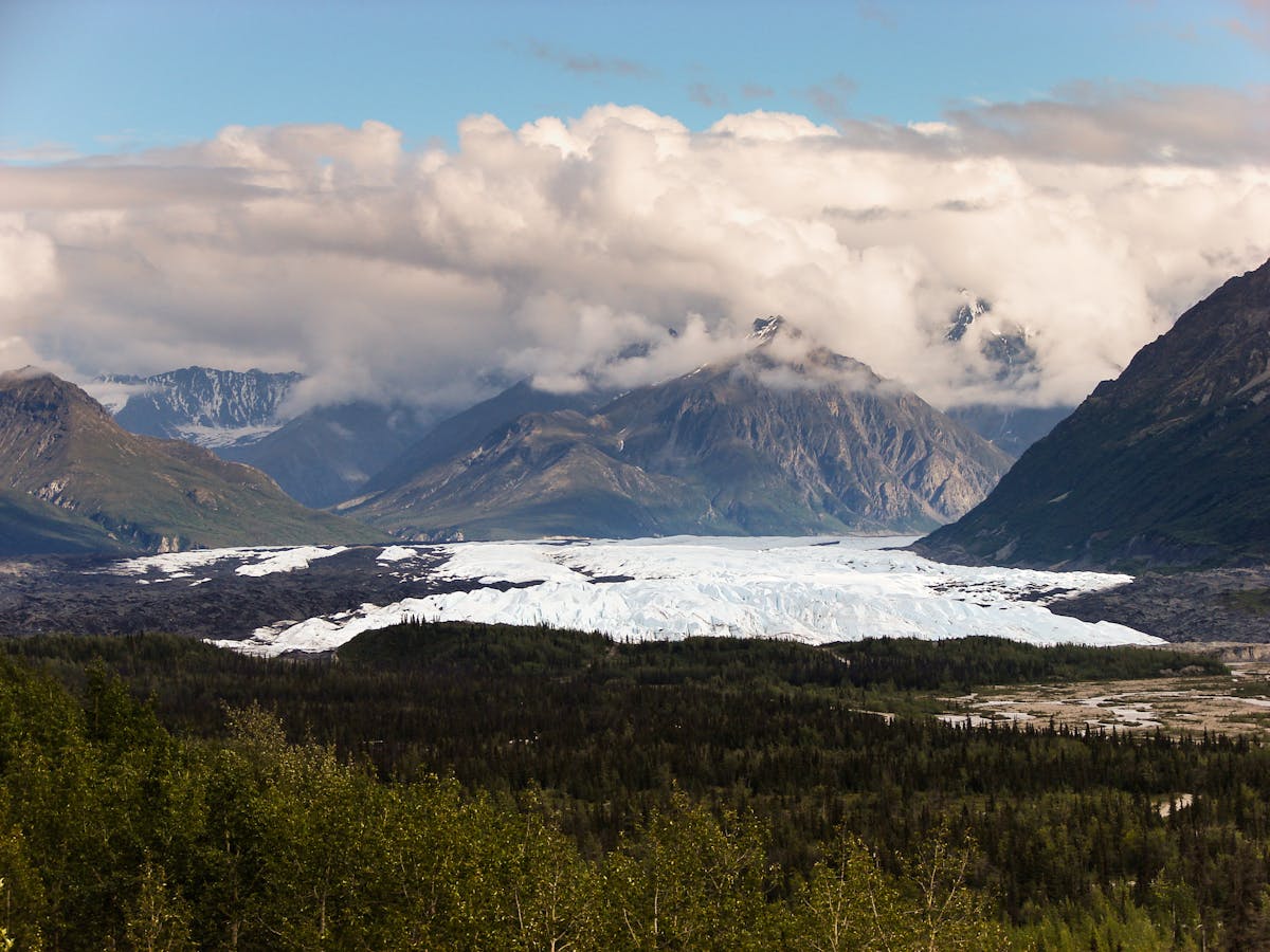 Discover the Magic - Essential Alaska Winter Activities