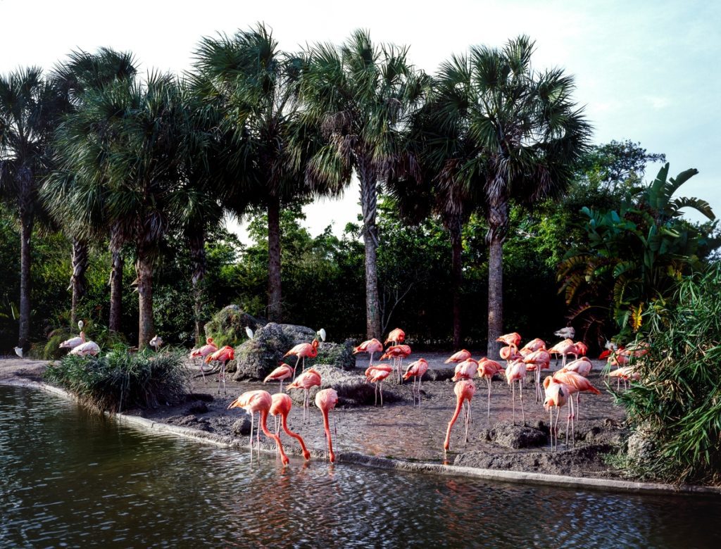 Discover the Most Famous Things in Florida - Your Ultimate Sunshine State Guide