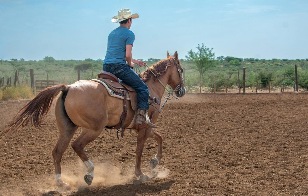 Discover what to eat in Lubbock Texas - A Foodie Guide