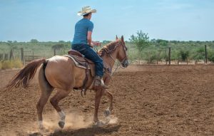 Discover what to eat in Lubbock Texas - A Foodie Guide