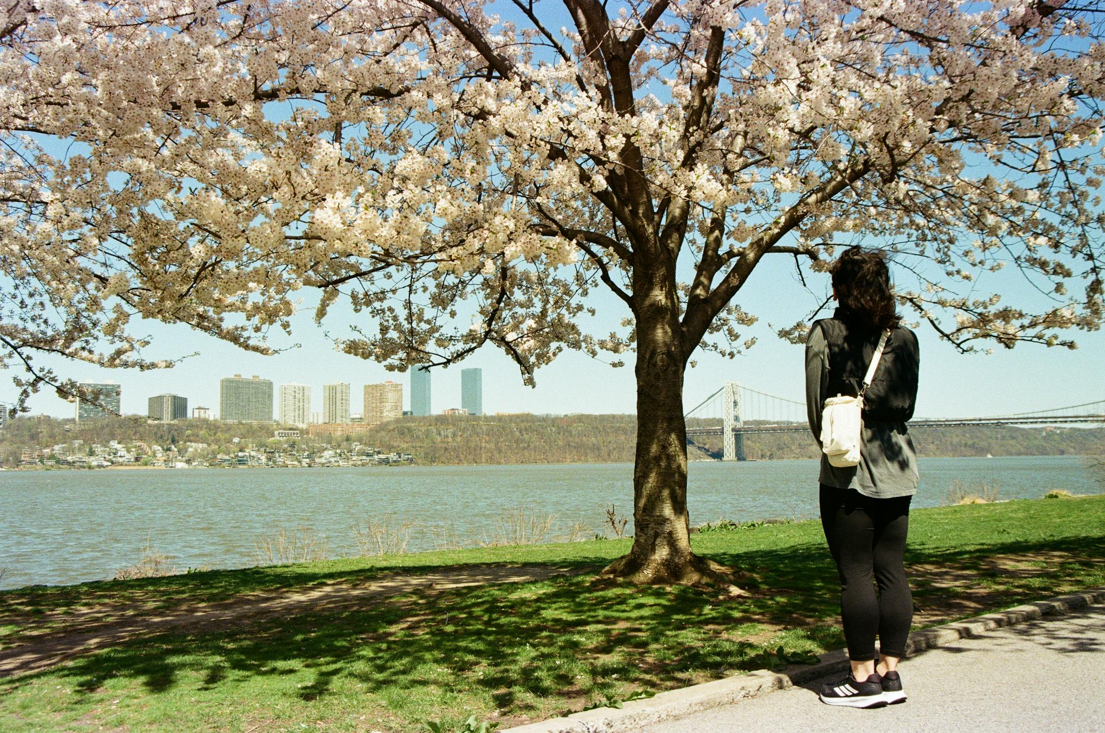 Discovering the Magic - Where to Go in New York for Unforgettable Experiences
