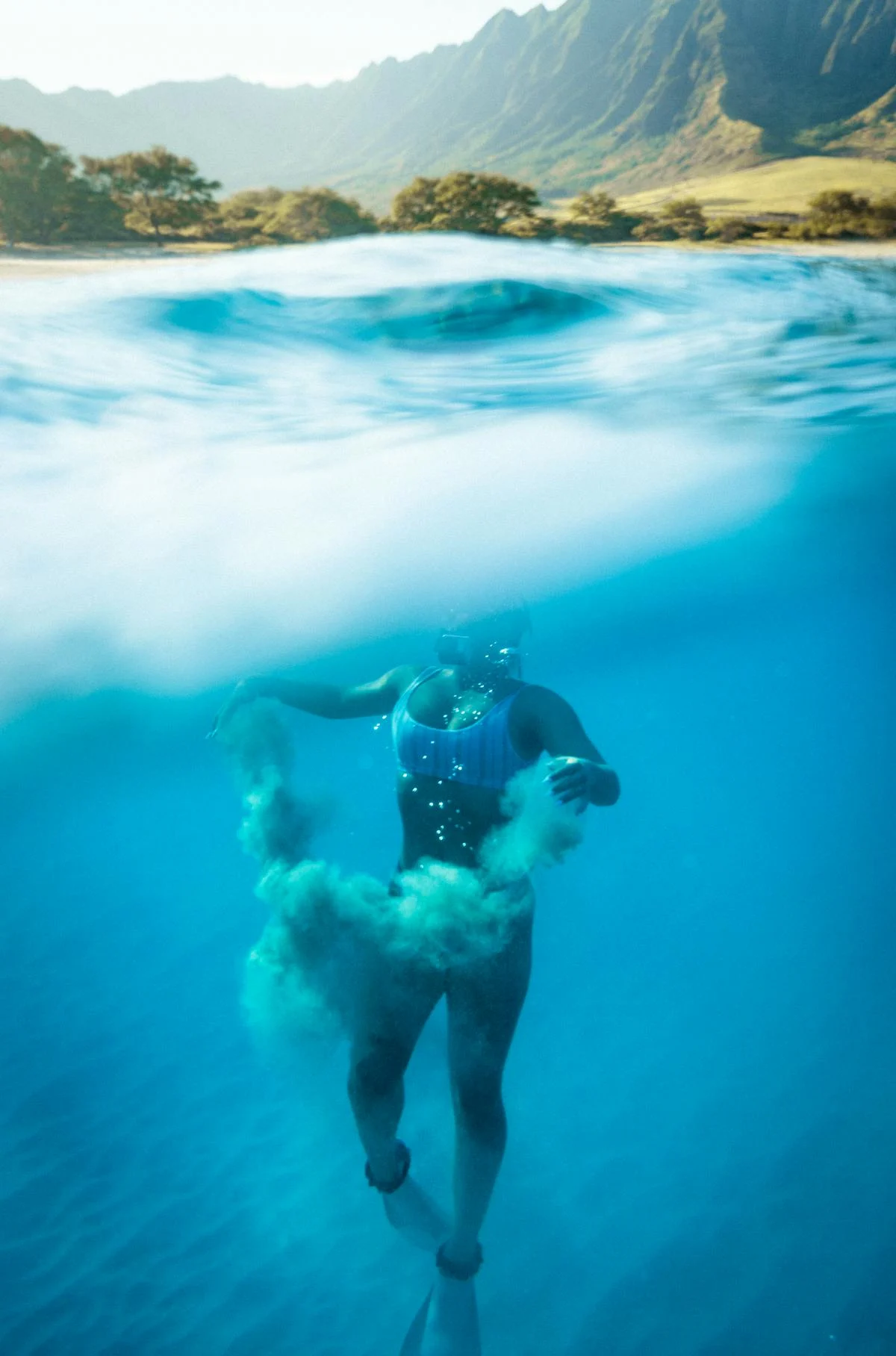 Experience the Magic of the Maui Whale Festival Educational Lecture Series