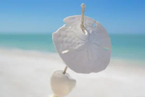Essential Things to Know About Florida Before Your Visit