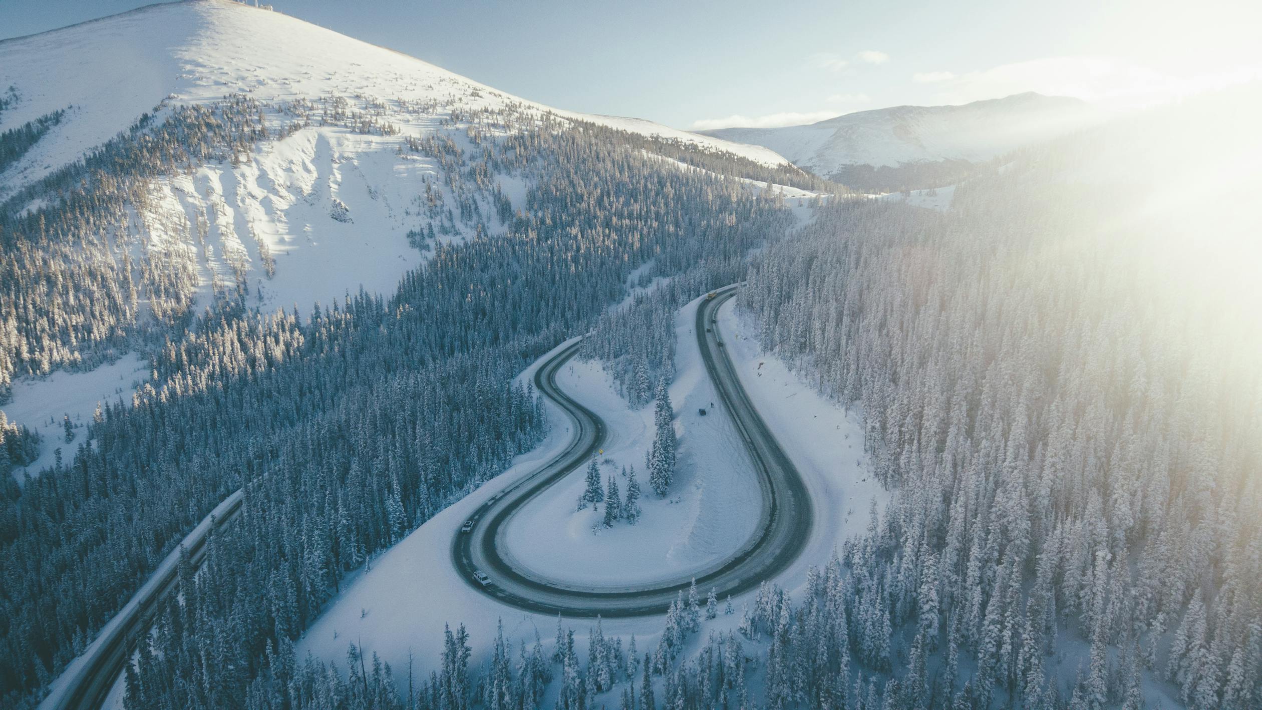 Experience the Magic - Everything About the Telluride Festival