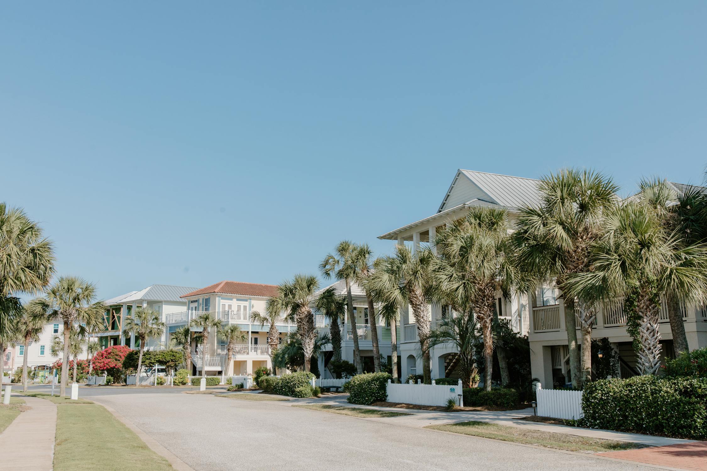 Explore Florida - Unforgettable Wildlife Adventures and How to Find Them Explore Florida - Unforgettable Wildlife Adventures and How to Find Them