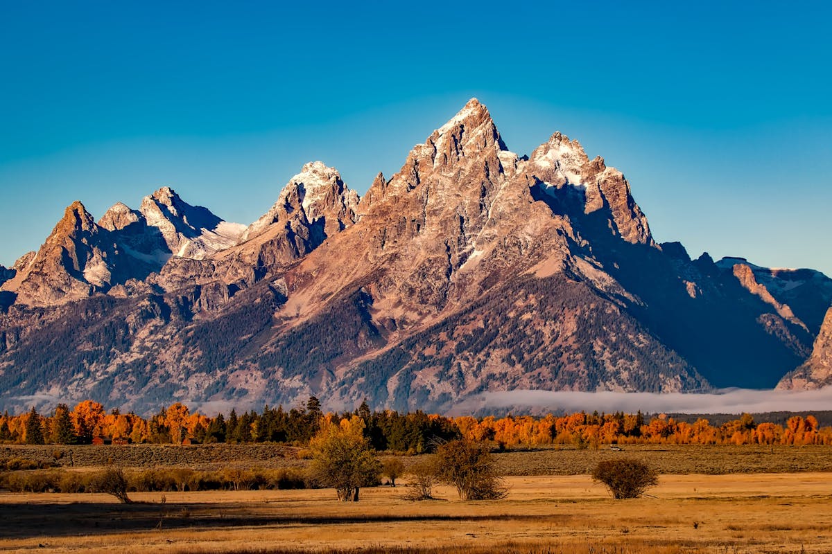 Exploring Wyoming Food - Flavors, Culture, and Community