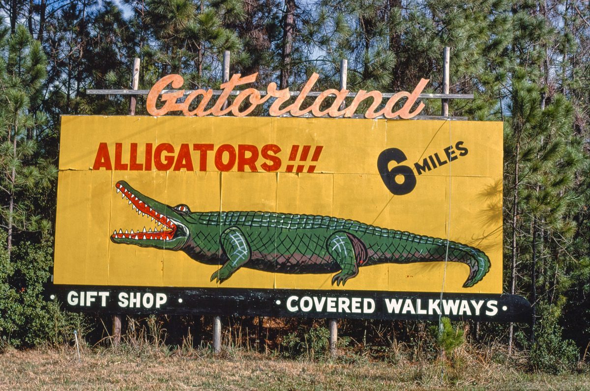 Finding the cheapest car rental tampa airport - Your Guide to Exploring the Gulf Coast Gatorland, Route 1, St. Augustine, Florida