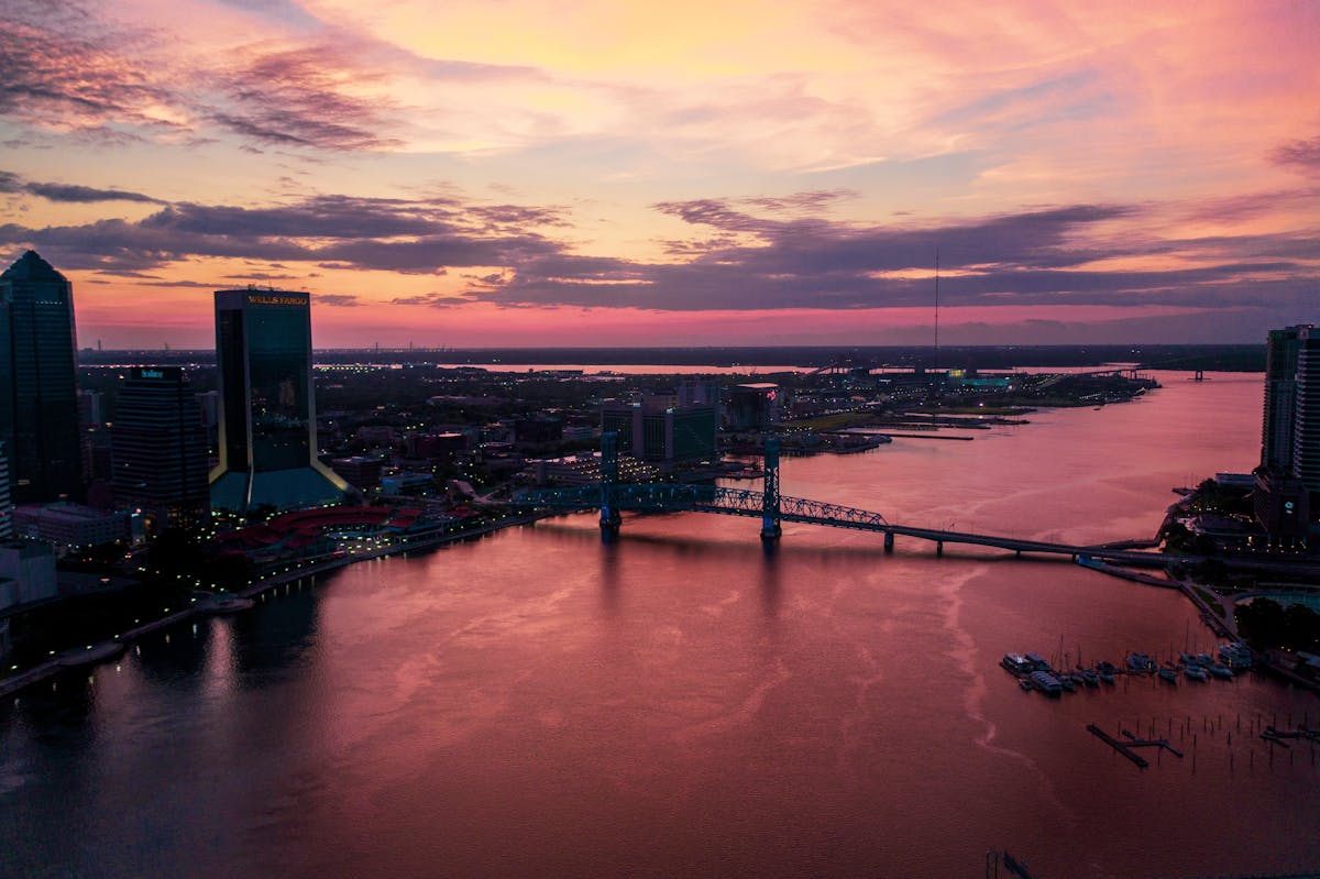 Discover the Must-See Things to See in Orlando Florida The Wheel at ICON Park, a major thing to see in Orlando Florida