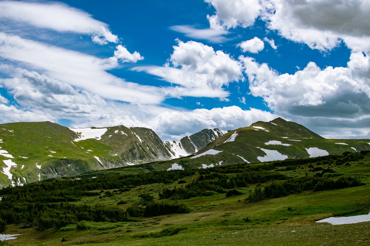 Experience the Unique Magic of telluride bluegrass in Colorado Getting Tickets and Finding Accommodation