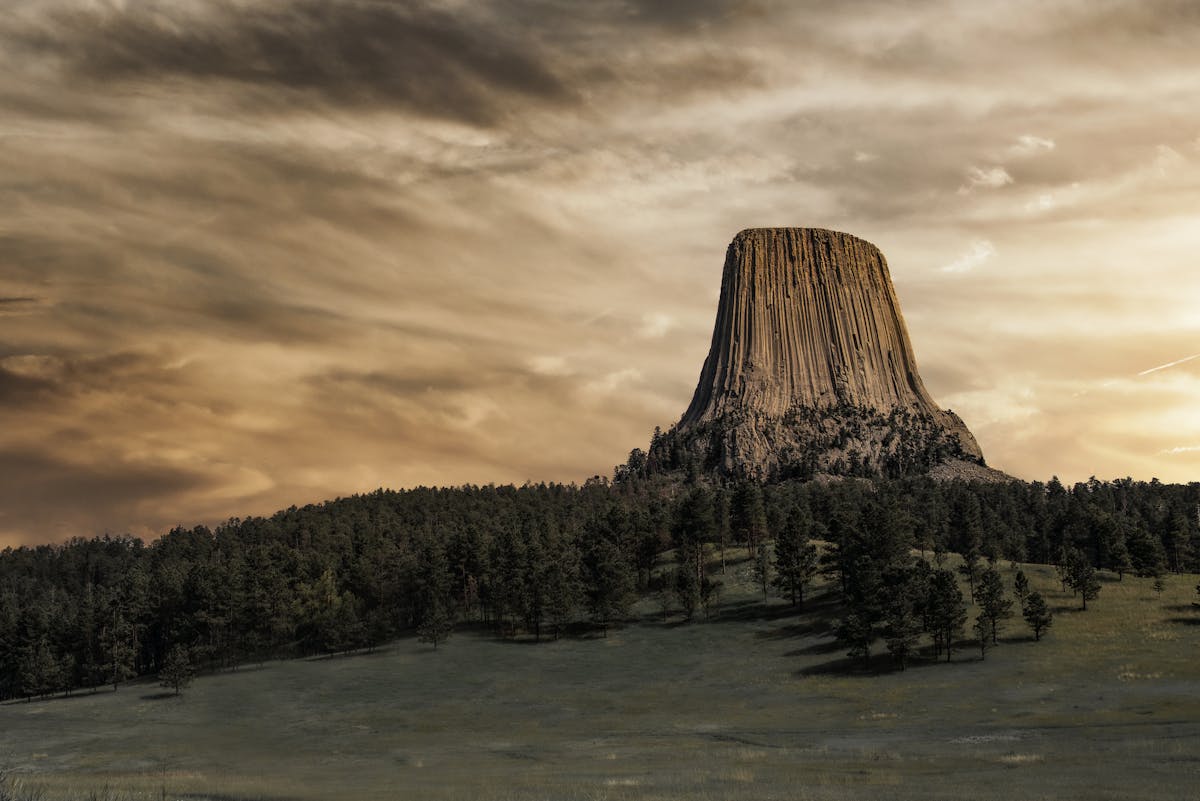 Stuff To Do In Jackson Hole - Your Essential Wyoming Adventure Guide Go on a Jackson Hole EcoTour Adventure