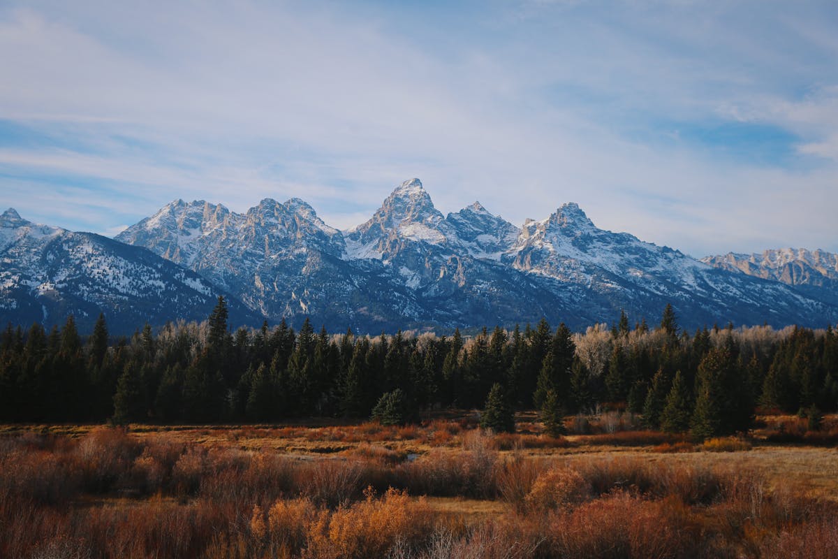 Golden Landscapes and Fewer Crowds
