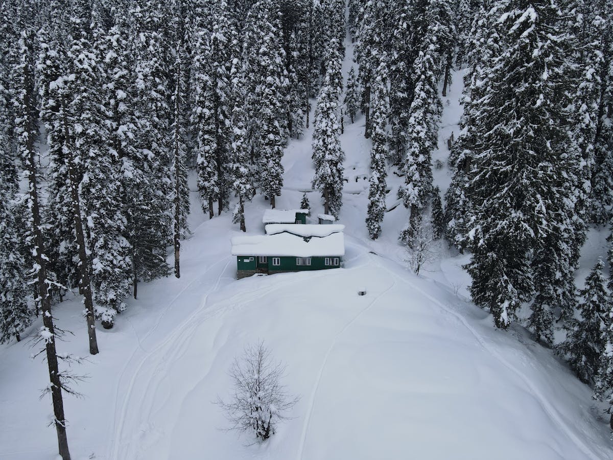 Discover the Must See In Jackson Hole - A Wyoming Gem Grand Teton National Park