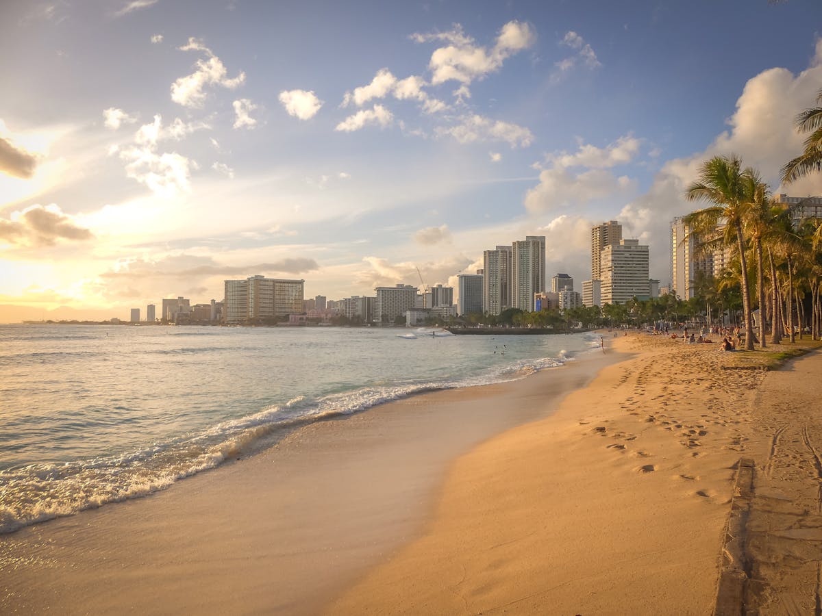 Discover the Best Snorkeling Honolulu Has to Offer Discover the Best Snorkeling Honolulu Has to Offer