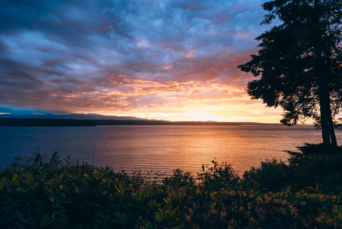 Expert Overlake Gastroenterology Care in Bellevue, WA High-Risk Cancer Program and Fred Hutch Partnership