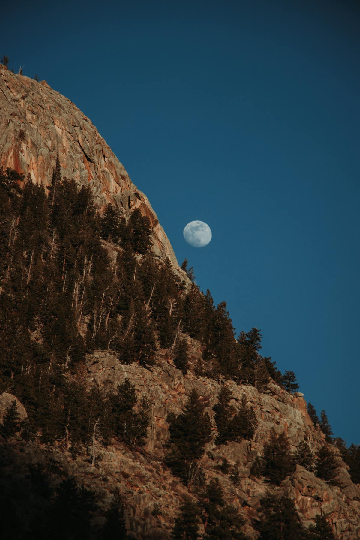 Discover What to See in Colorado - Must-Visit Spots Hike in Rocky Mountain National Park