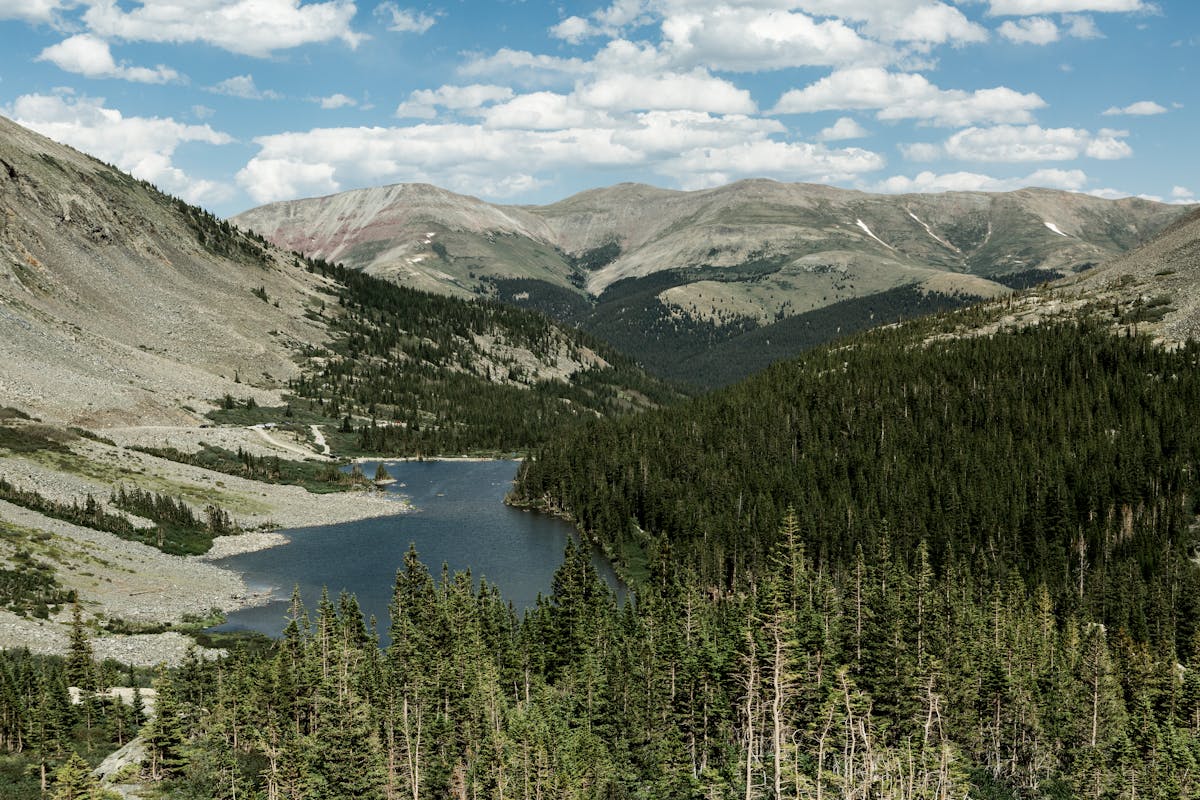 Ultimate Guide - What to Do in Aspen for Every Season 2025 Immerse Yourself in Arts, Culture & Events