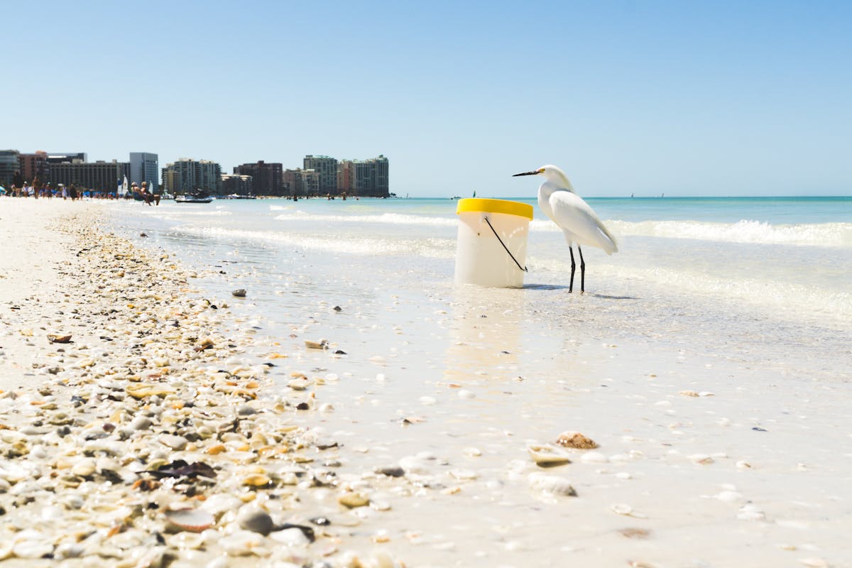 Discover the Must-See Things to See in Orlando Florida A beautiful natural park setting near Orlando, offering serene things to see
