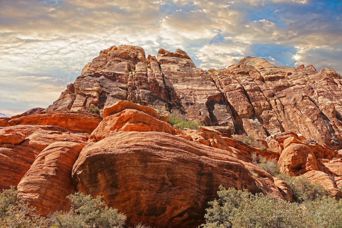 Navigating Urgent Care - Your Guide to Nevada Pediatric Specialists Las Vegas Walk-In Clinic