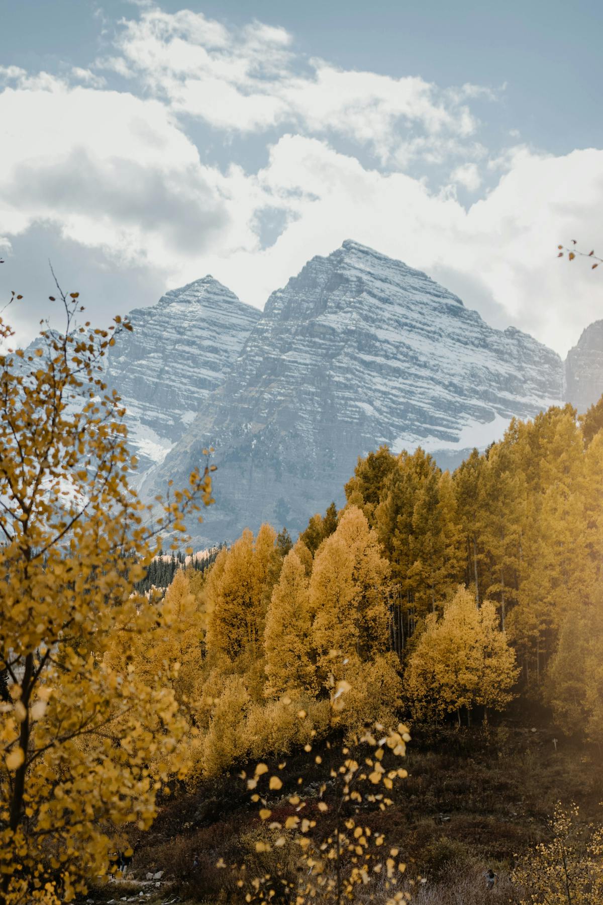 Your Essential Guide - What to Do in Grand Junction Nearby Gems & Scenic Drives