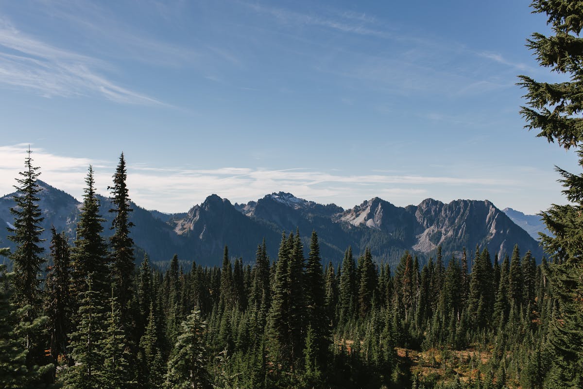 Practical Tips for Your Washington Trip