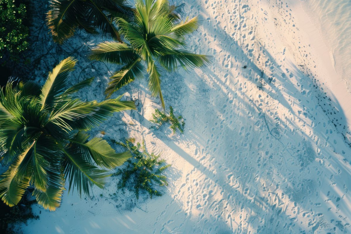 Exploring the Vibrant Culinary in Florida Regional Gems and Culinary Hotspots