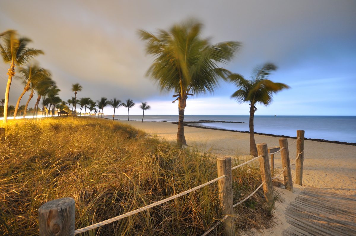 Top Fun Things to Do in Tampa for an Unforgettable Trip Savor Tampa's Culinary Scene