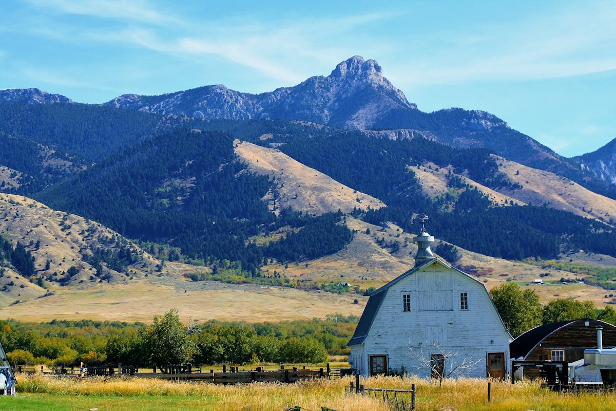 Savoring the Flavors Under The Big Sky