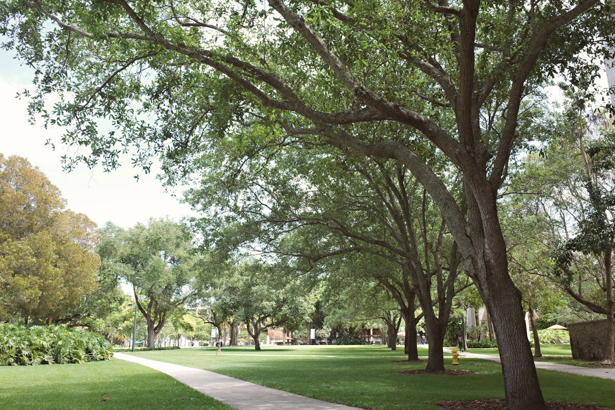 Discover the Legacy of the Florida Culinary Institute Students learning in a state-of-the-art kitchen at the former florida culinary institute