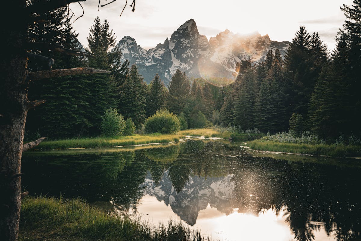 Stuff To Do In Jackson Hole - Your Essential Wyoming Adventure Guide Stuff To Do In Jackson Hole - Your Essential Wyoming Adventure Guide