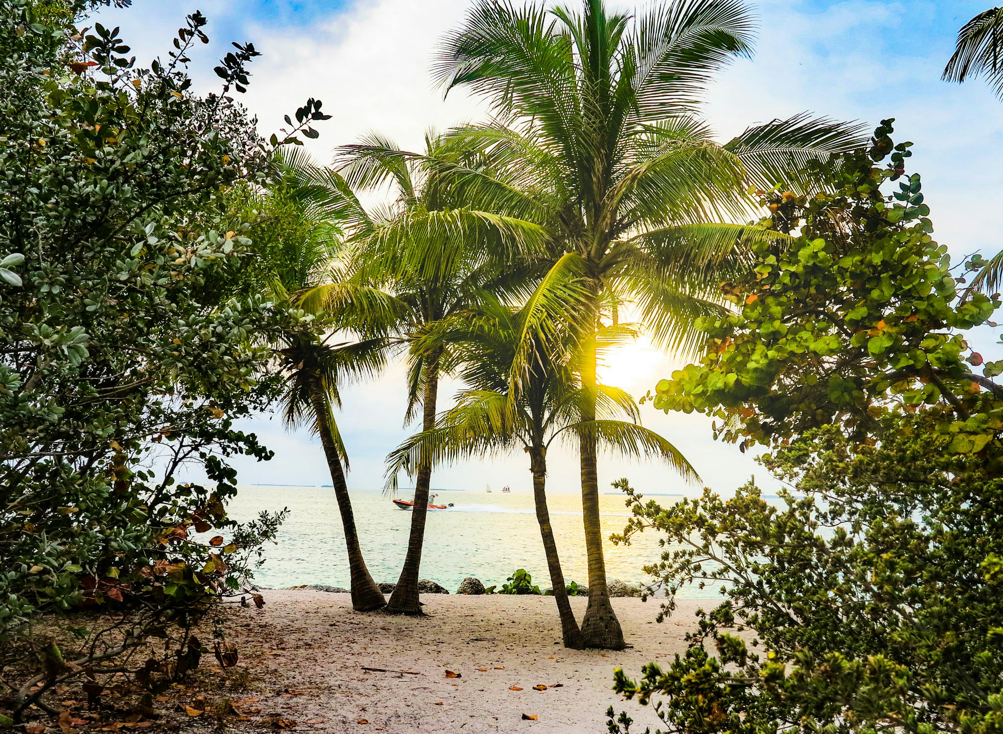 Discover the Best Florida Vacation Packages for an Unforgettable Getaway Key West: Island Charm and Sunset Celebrations