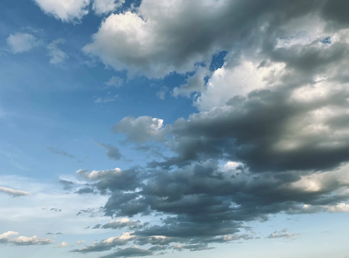 Discover the Best States Near Texas to Visit The Natural State's Outdoors and History
