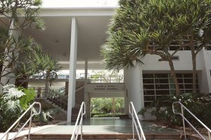 Top Culinary Schools Orlando - Your Path to a Chef Career