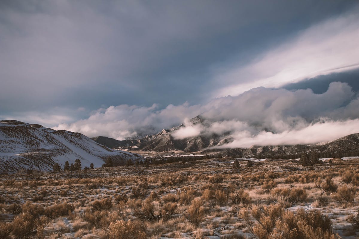 Unforgettable Adventures Await - Choosing the Best Colorado Tour Packages