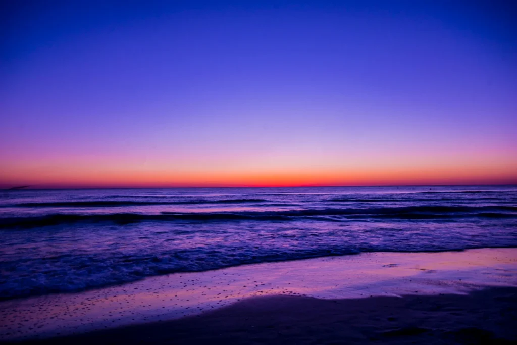 Unforgettable Adventures - What to Visit in Florida for Every Traveler