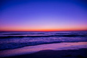 Unforgettable Adventures - What to Visit in Florida for Every Traveler