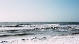 Florida Temperature by Month 2024 - Your Essential Travel Guide
