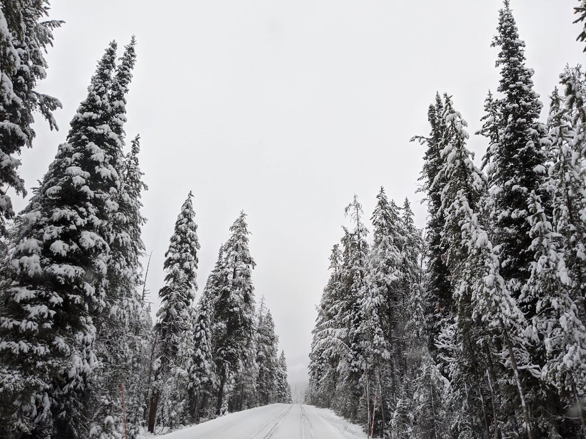Discovering Big Sky Country: What State Is Montana In? Waters of the Big Sky Country