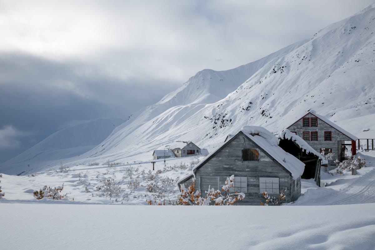 What Season Should You Visit Alaska? Find Your Perfect Time What Season Should You Visit Alaska Find Your Perfect Time